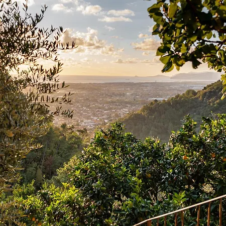 Tenuta Zamparina Resort *